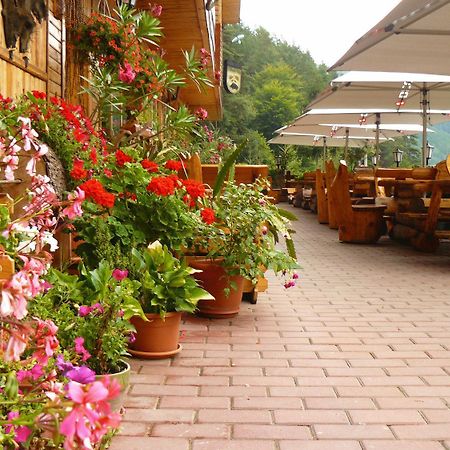 Pension Curmatura Stezii Rasinari Exterior photo